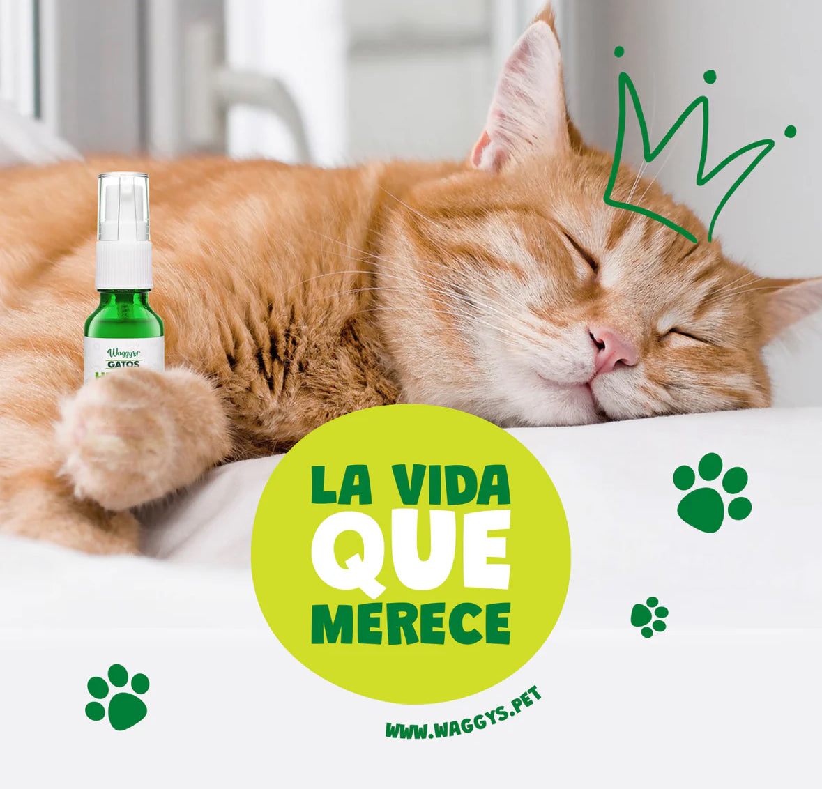 Relajante para gatos en Spray, aceite premium, Waggy’s