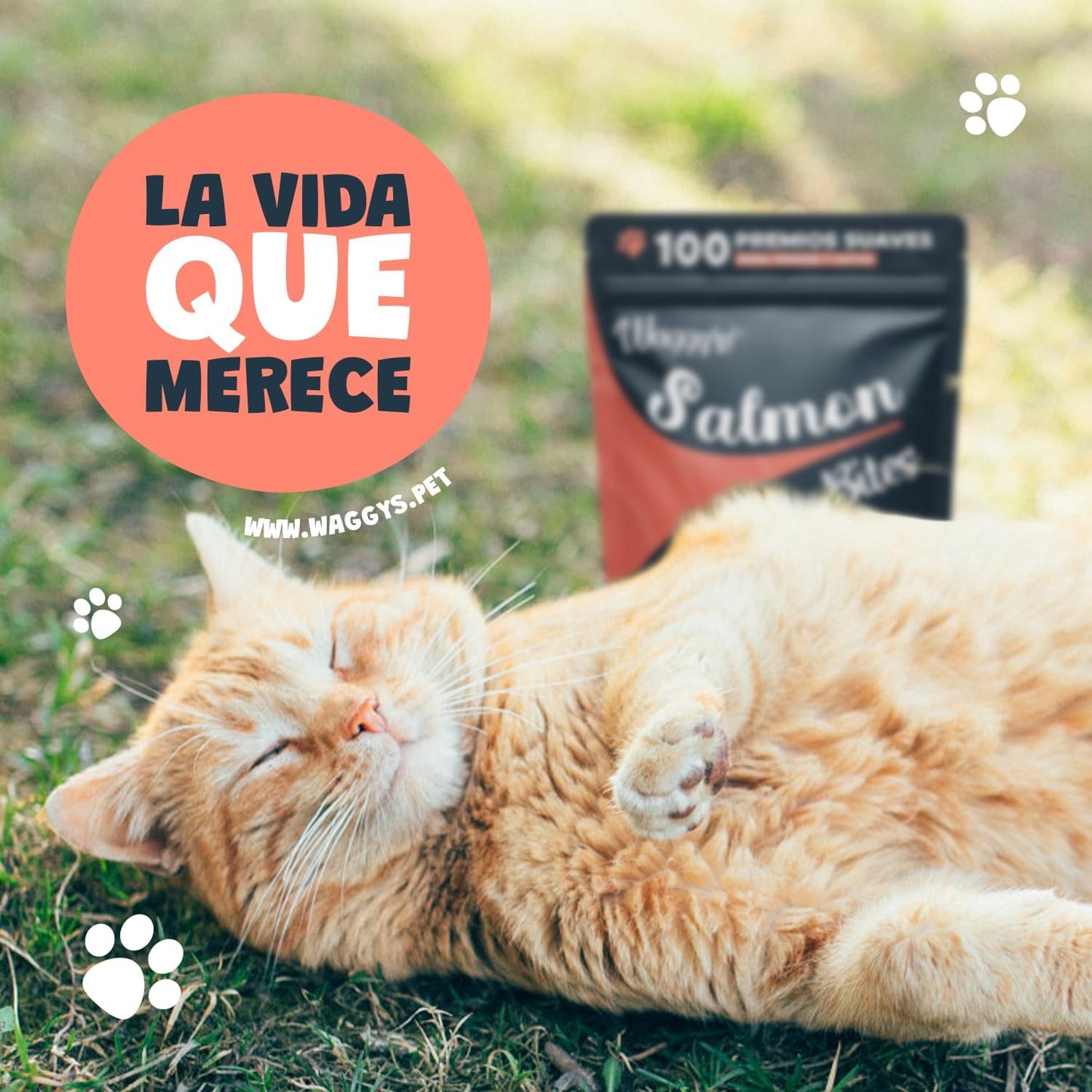 Waggys Salmon Bites para Perros Y Gatos - 100 Premios para Entrenamiento, 100% Naturales