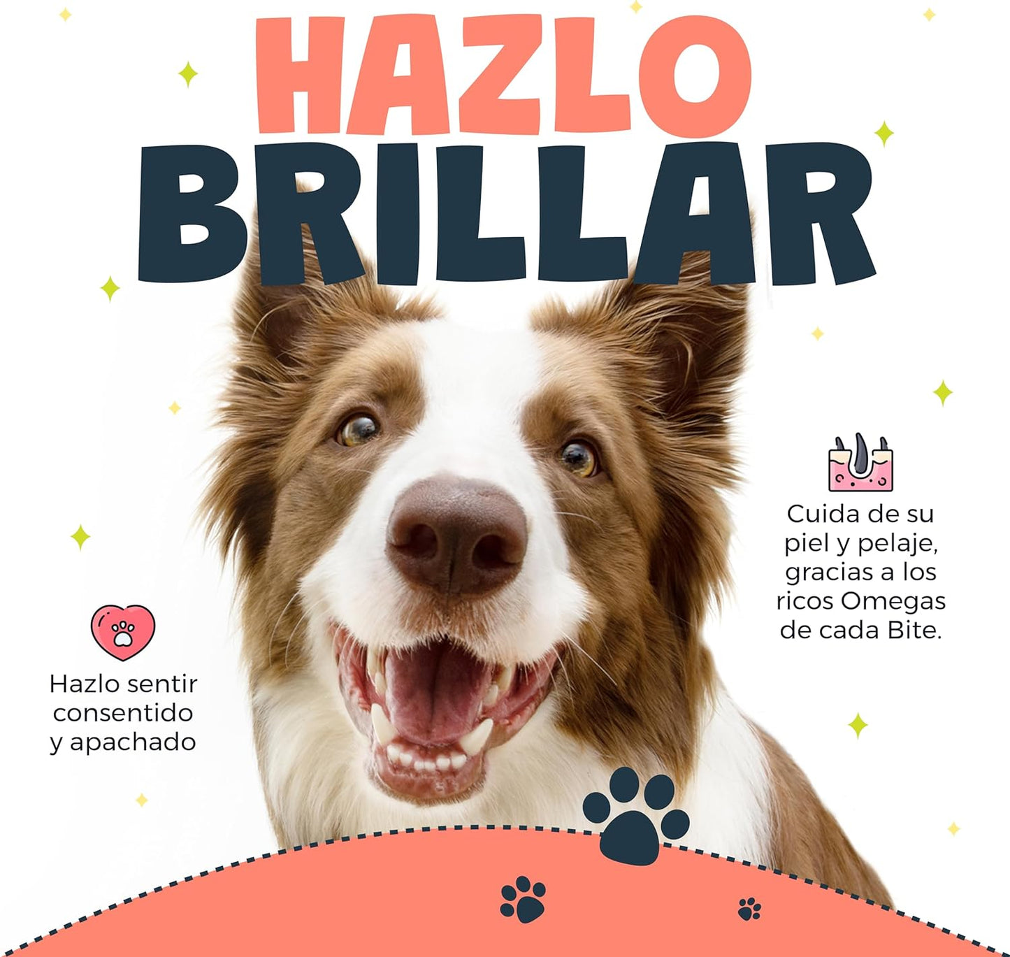 Waggys Salmon Bites para Perros Y Gatos - 100 Premios para Entrenamiento, 100% Naturales