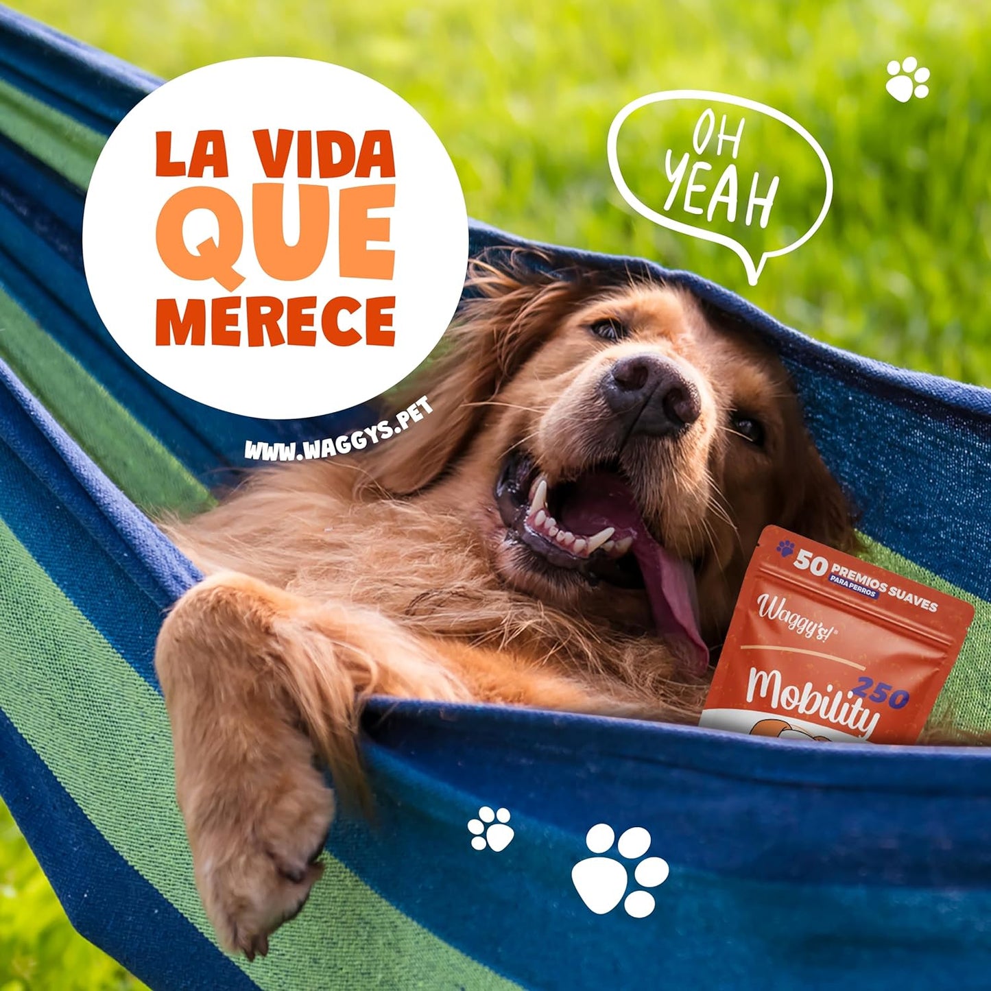 Waggys 50 Premios Mobility para Perros Chicos - Apoyo para Movilidad, Articulaciones, Cadera, Dolores e Inflamación