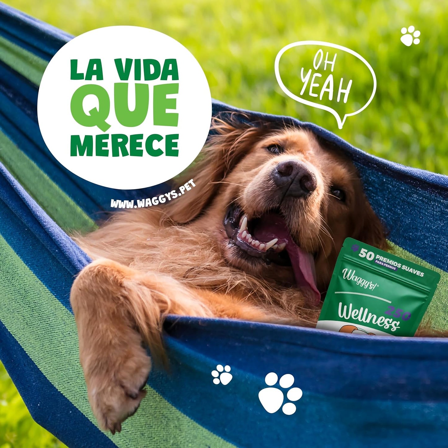 Waggy's Premios para Perros | WELLNESS