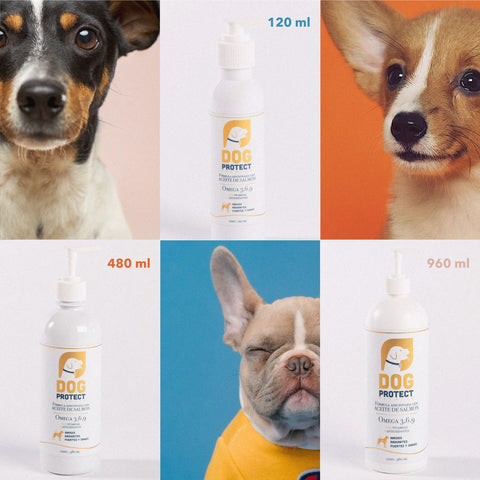 Aceite Salmón Premium - Vitaminas para Perro, Dog protect, Omega 3, 6 y 9