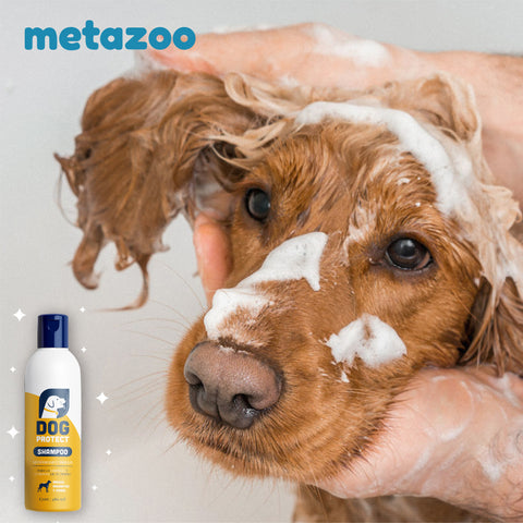 shampoo natural y crema protectora para perro, petbalm, Dog protect