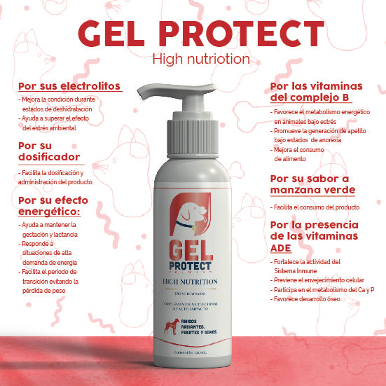 Multivitamínico Premium Para Perros 120ml, Gel Protect
