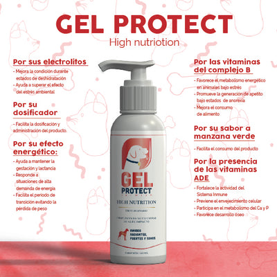Multivitamínico Premium Para Perros 120ml, Gel Protect
